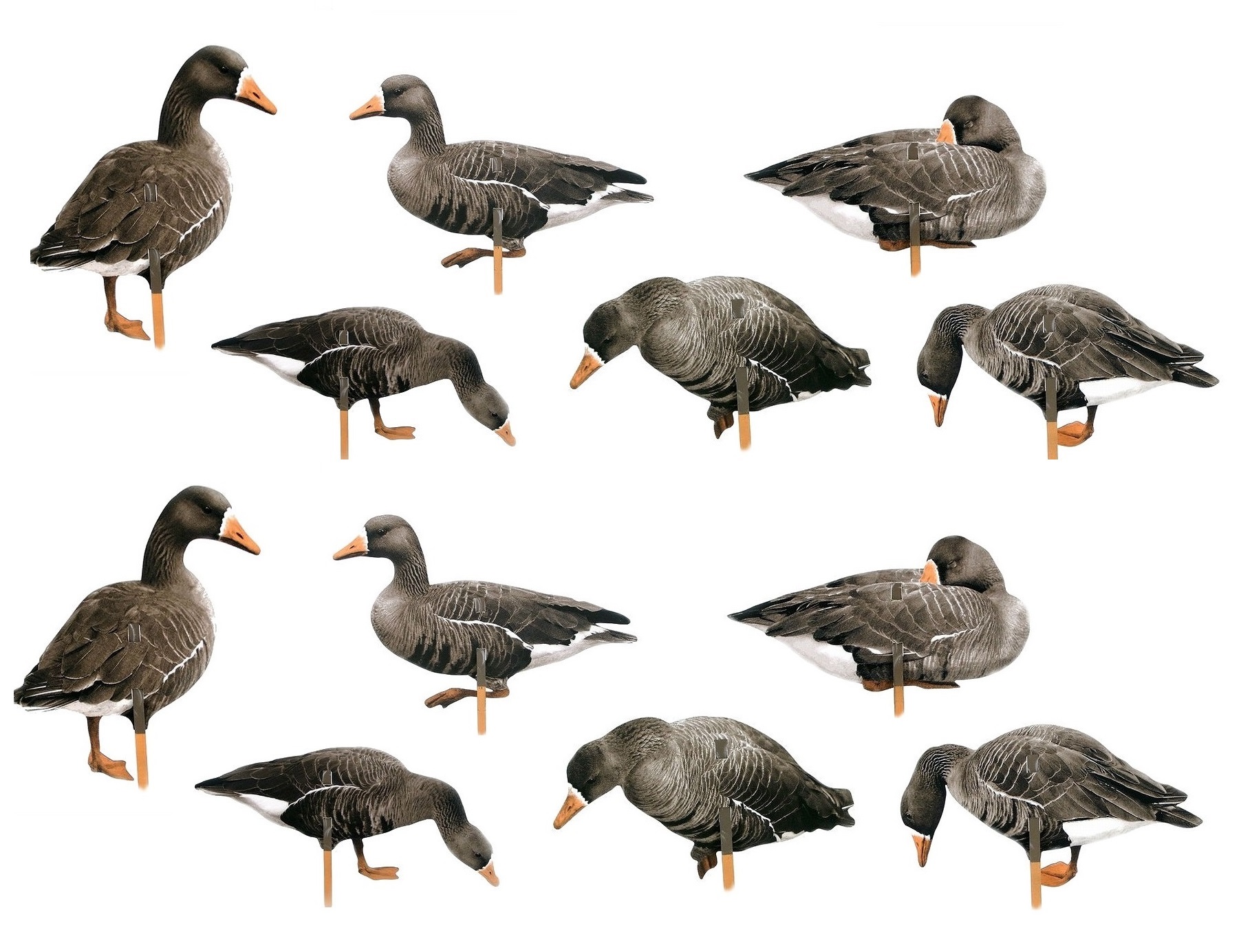 Комплект профилей гуся (10 шт)